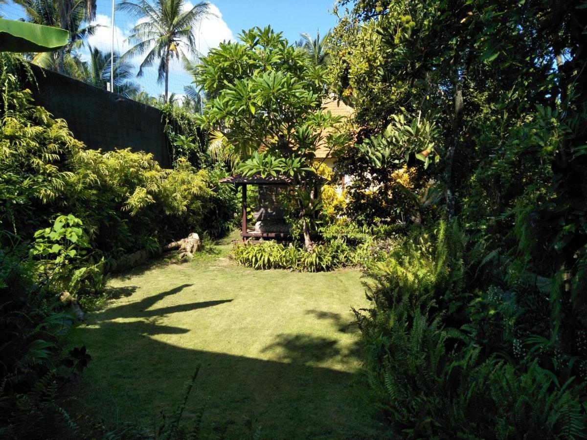 La Kubu Bali Homestay Tejakula Exteriér fotografie