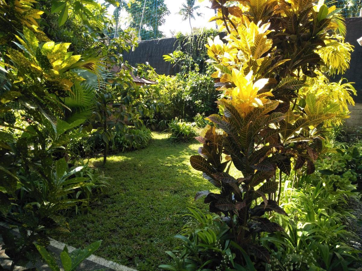 La Kubu Bali Homestay Tejakula Exteriér fotografie