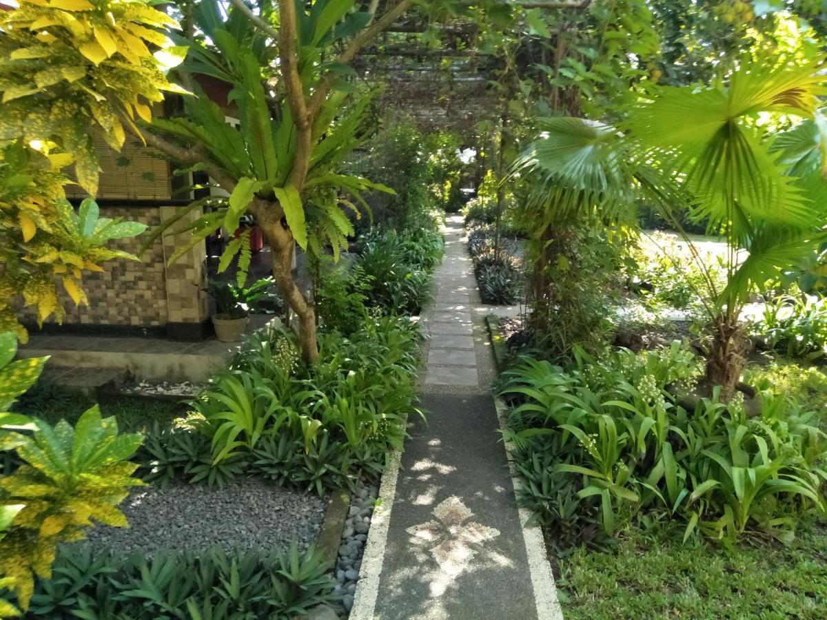 La Kubu Bali Homestay Tejakula Exteriér fotografie