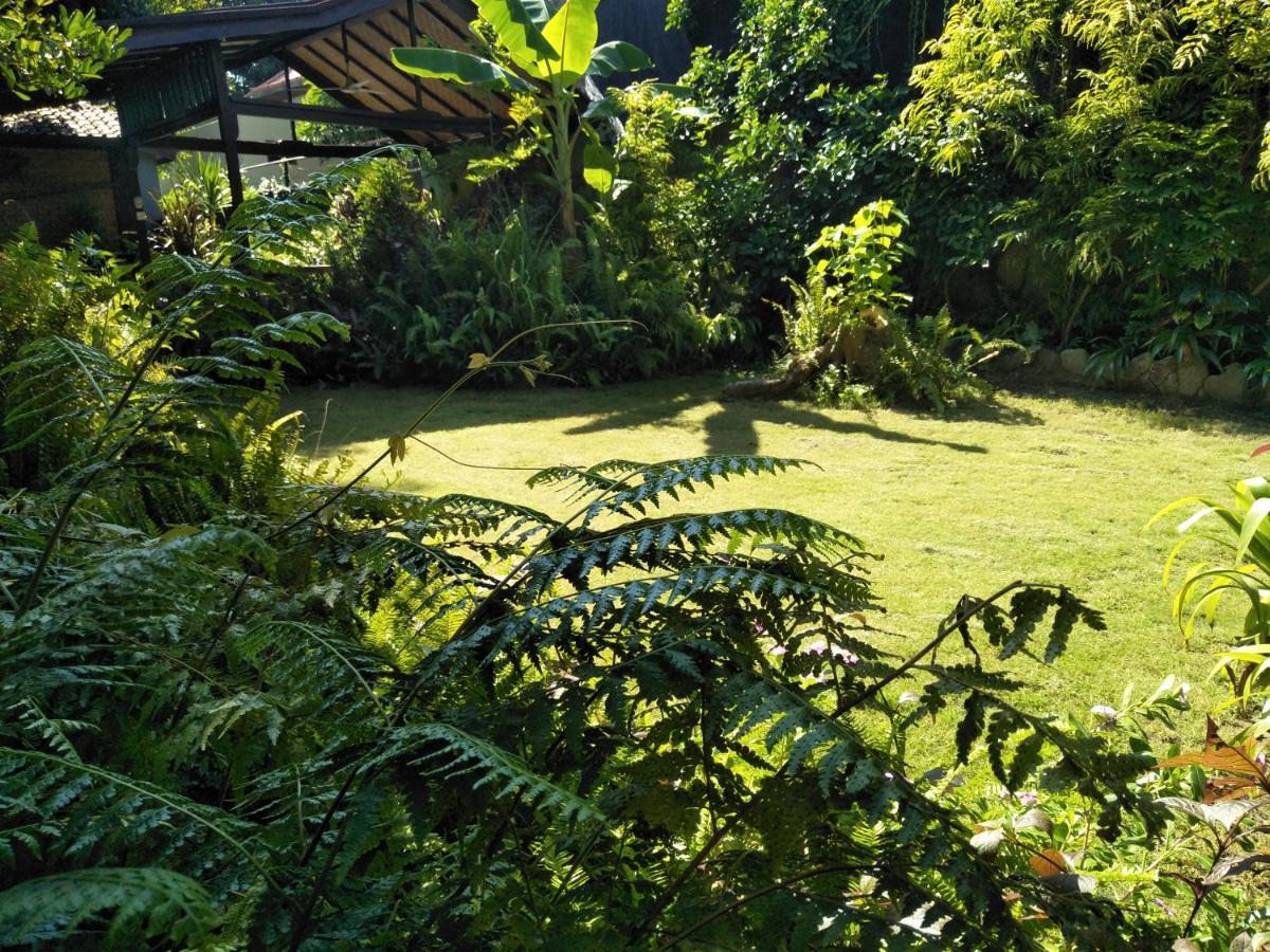 La Kubu Bali Homestay Tejakula Exteriér fotografie